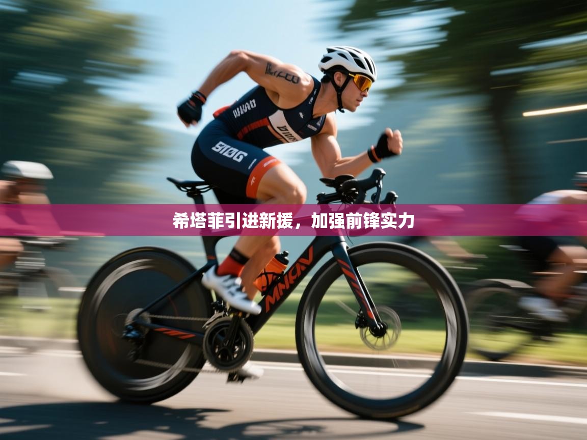 希塔菲引进新援，加强前锋实力  第2张