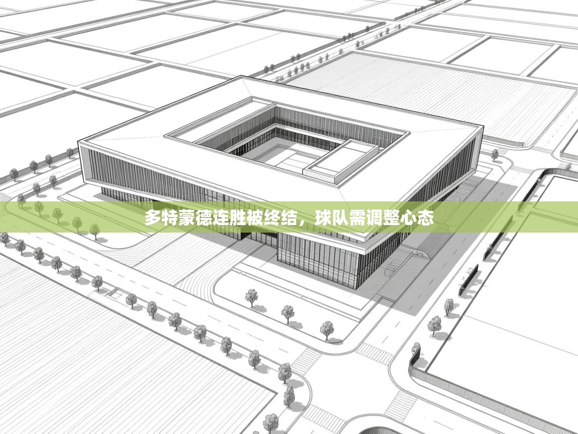 多特蒙德连胜被终结，球队需调整心态  第2张