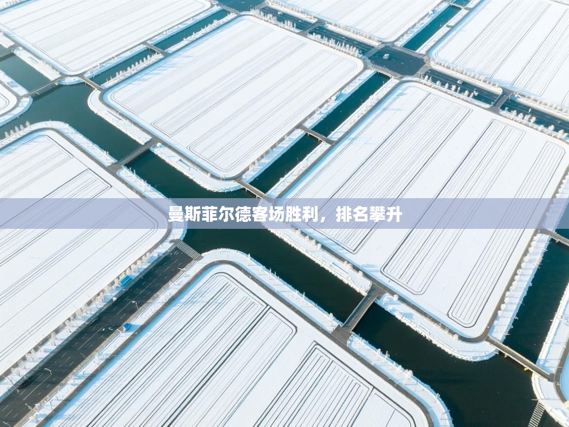 曼斯菲尔德客场胜利，排名攀升  第1张