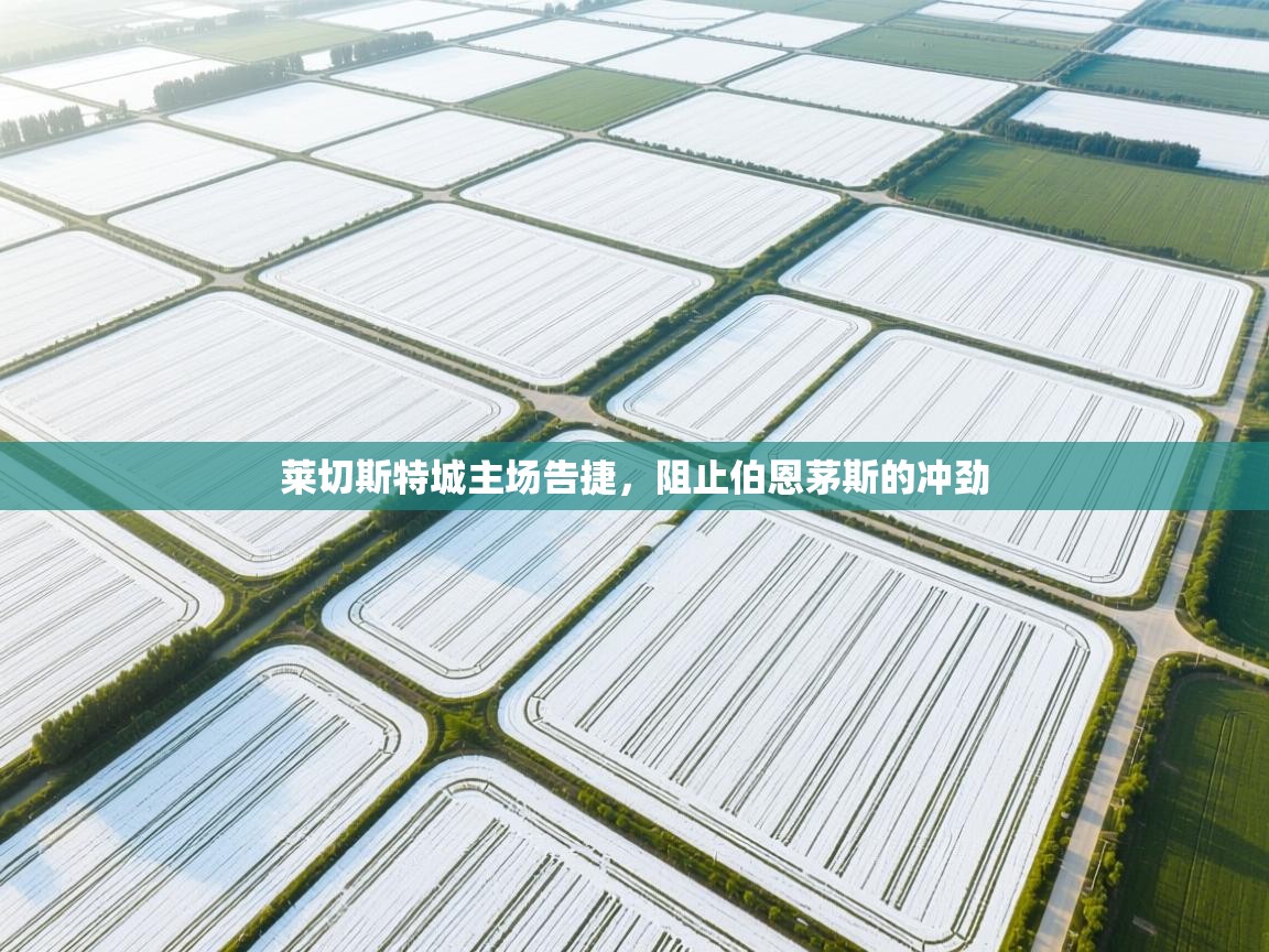 莱切斯特城主场告捷，阻止伯恩茅斯的冲劲  第1张