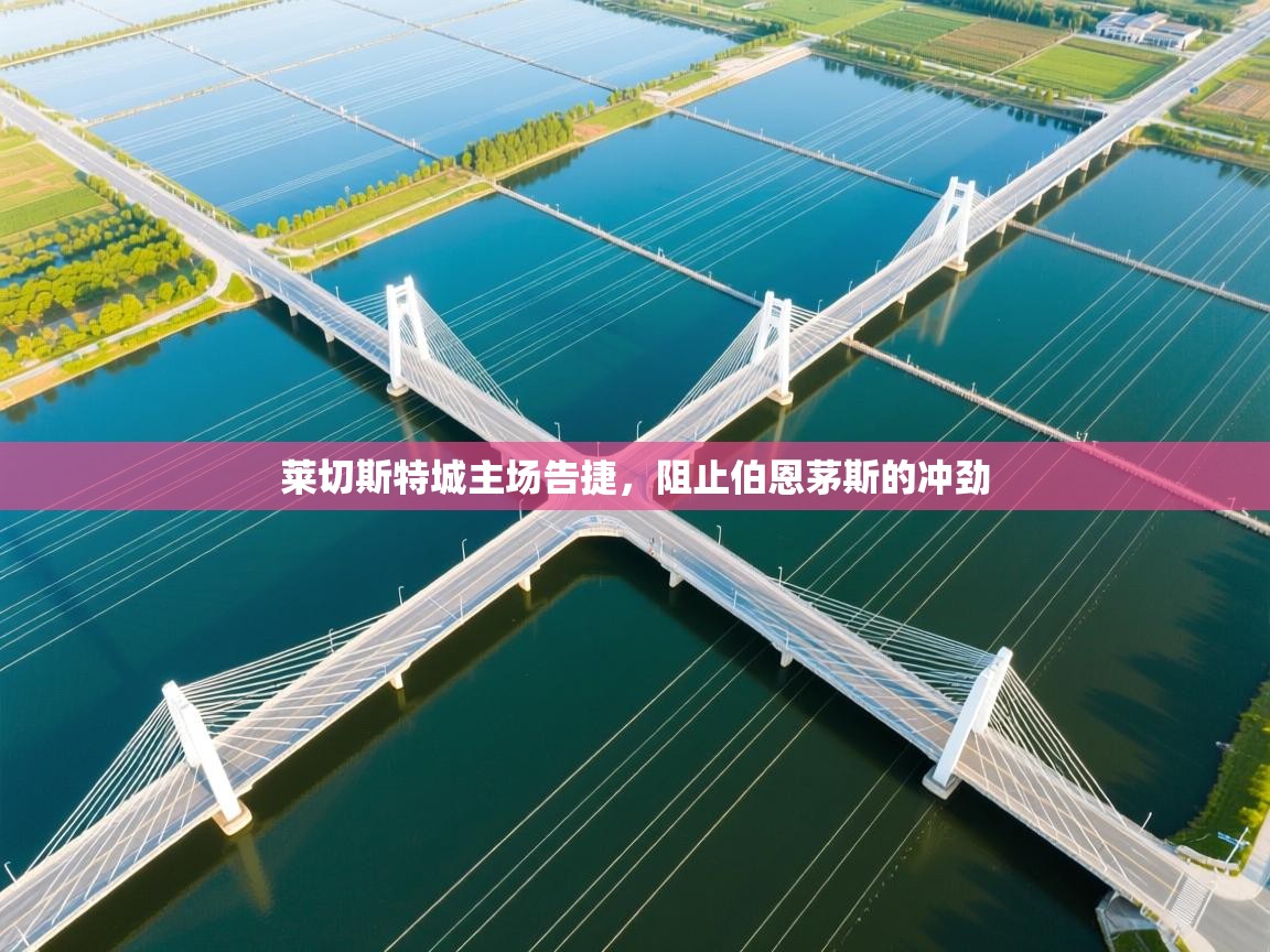 莱切斯特城主场告捷，阻止伯恩茅斯的冲劲  第2张