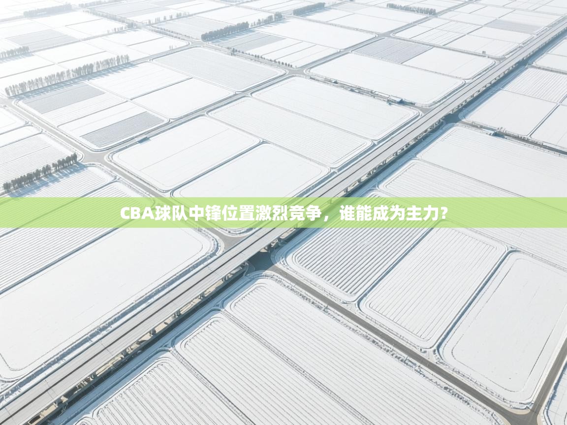 CBA球队中锋位置激烈竞争,谁能成为主力? 第2张