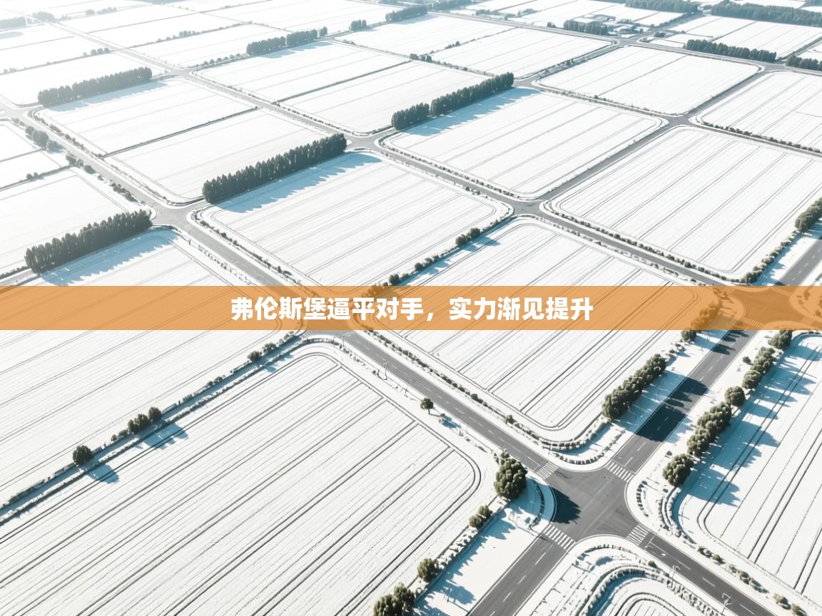 弗伦斯堡逼平对手，实力渐见提升  第1张