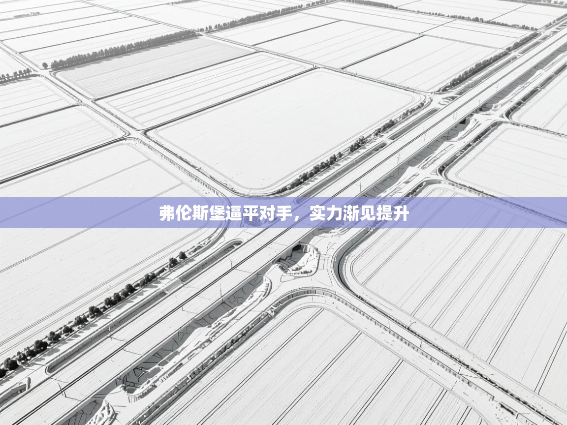 弗伦斯堡逼平对手，实力渐见提升  第2张