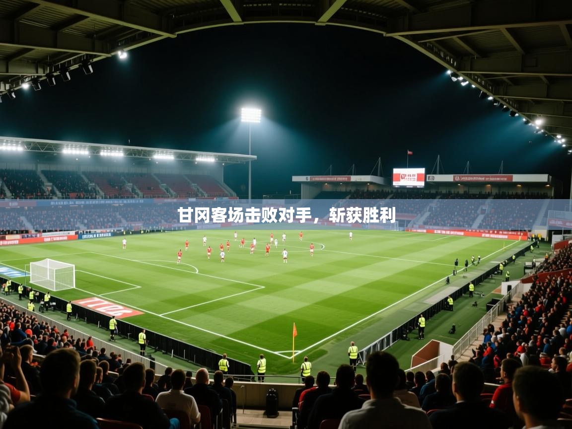 甘冈客场击败对手,斩获胜利 第1张